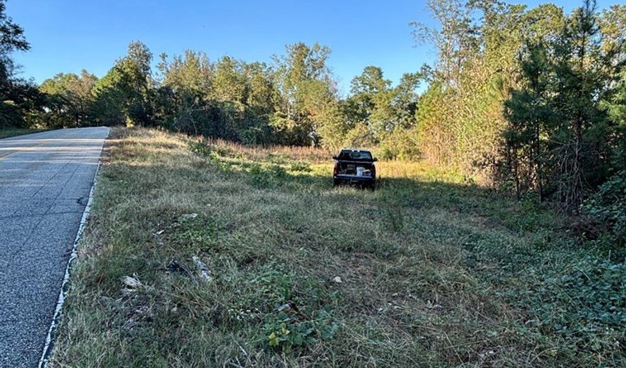 TBD Alternate 97, Abbeville, AL 36310 - 0 Beds, 0 Bath