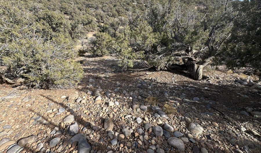 County Road 2550, Aztec, NM 87410 - 0 Beds, 0 Bath