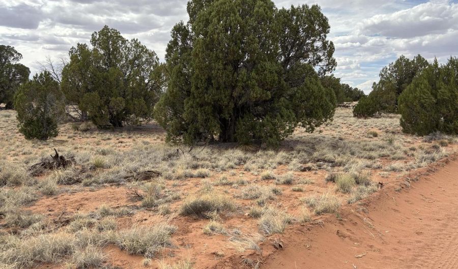 Tbd N5505, Concho, AZ 85924 - 0 Beds, 0 Bath