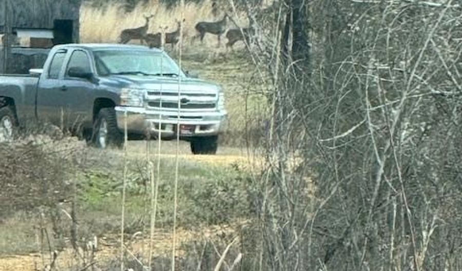 1111 Mount Olive Rd SE, Bogue Chitto, MS 39629 - 0 Beds, 0 Bath