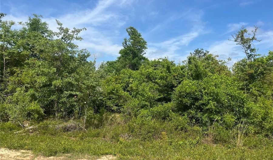 Rome Avenue, Alford, FL 32420 - 0 Beds, 0 Bath