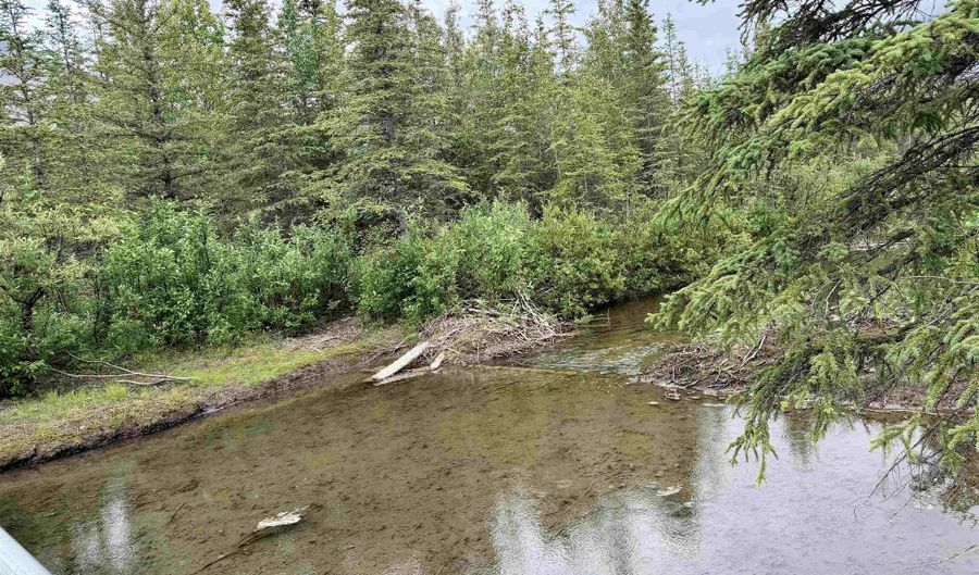 295 CHAVEY Ct, Cantwell, AK 99729 - 2 Beds, 1 Bath