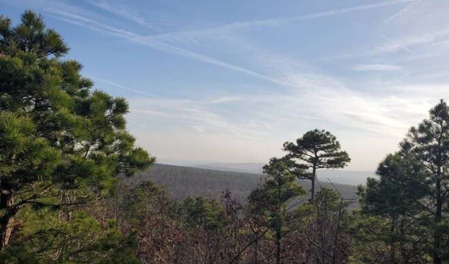 153 ACRES 34.6002 -95.08725, Albion, OK 74571 - 0 Beds, 0 Bath