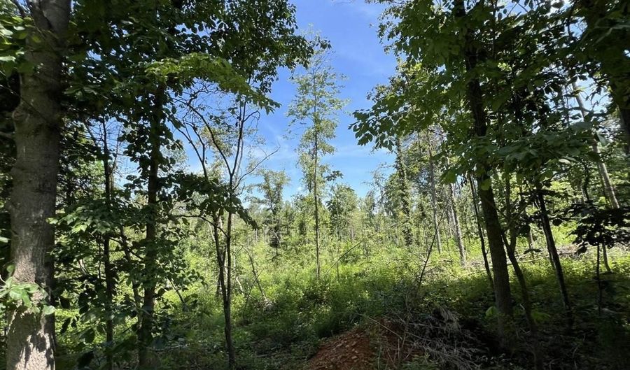 3772 E New Roe Rd, Adolphus, KY 42120 - 0 Beds, 0 Bath