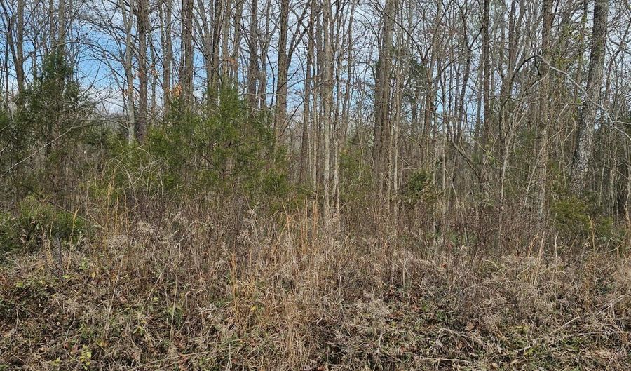 Lynn Lane Lot 23, Big Sandy, TN 38221 - 0 Beds, 0 Bath