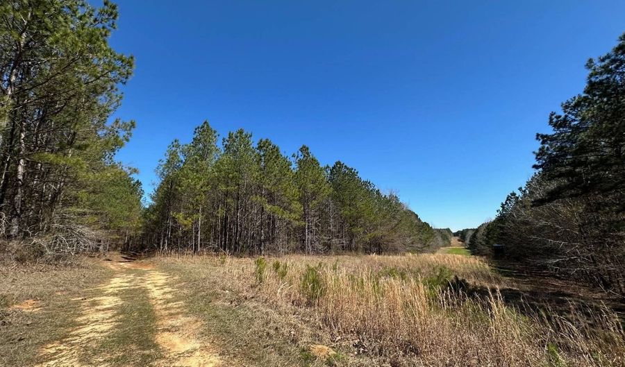3 County Road 5112, Ethel, MS 38829 - 0 Beds, 0 Bath