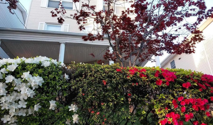 97-99 W 39TH St 2, Bayonne, NJ 07002 - 3 Beds, 1 Bath