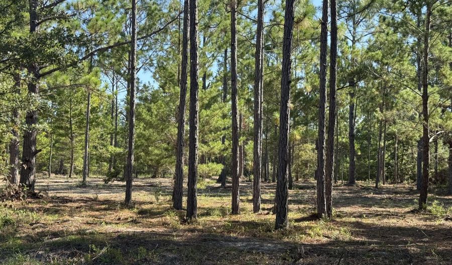 Adams Drive, Alford, FL 32420 - 0 Beds, 0 Bath