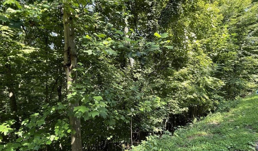 Stoneway Court lot 926, Baneberry, TN 37890 - 0 Beds, 0 Bath
