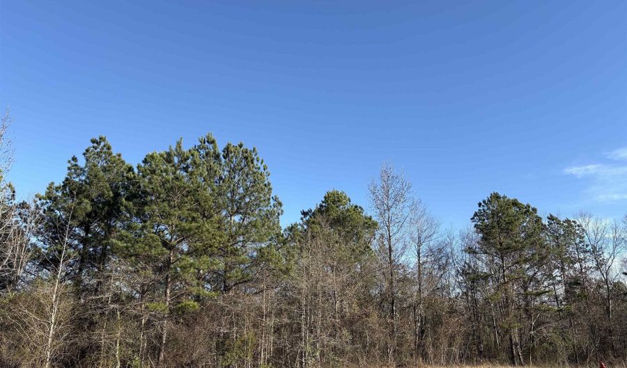 206 Parkway Trail Blvd, Bauxite, AR 72011 - 0 Beds, 0 Bath