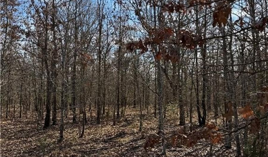 Tract 1 Rural Atoka, Atoka, OK 74525 - 0 Beds, 0 Bath