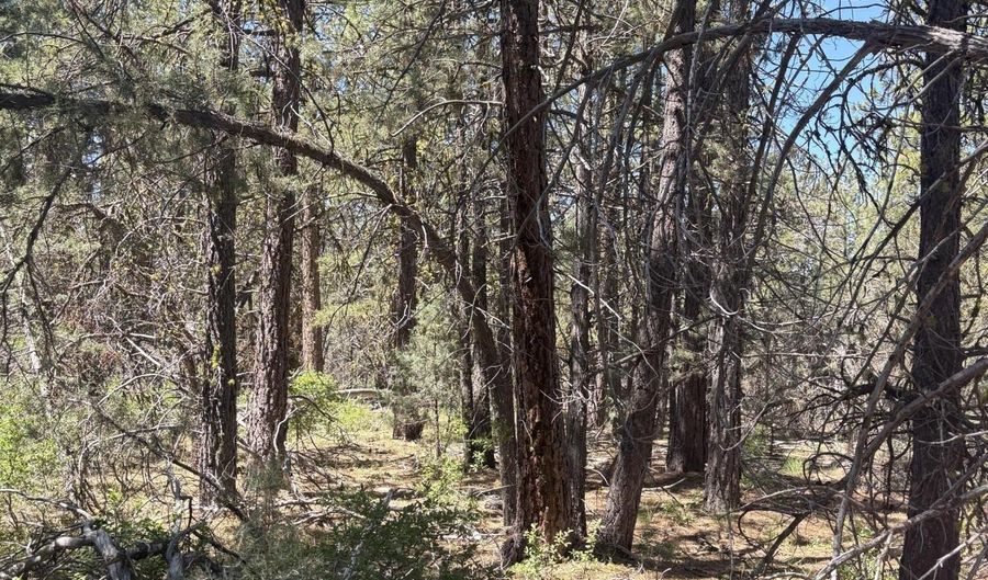 Chickadee Drive lot 10, Bonanza, OR 97623 - 0 Beds, 0 Bath