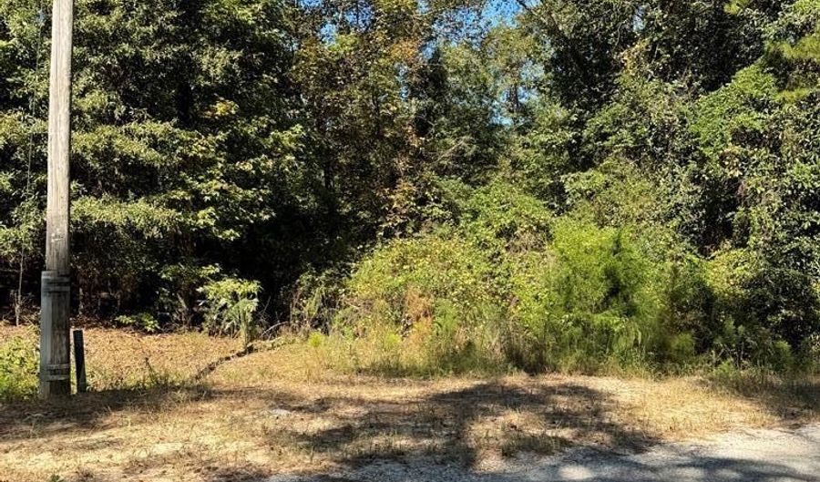 Lot 5 South Galaxie, Abbeville, AL 36310 - 0 Beds, 0 Bath