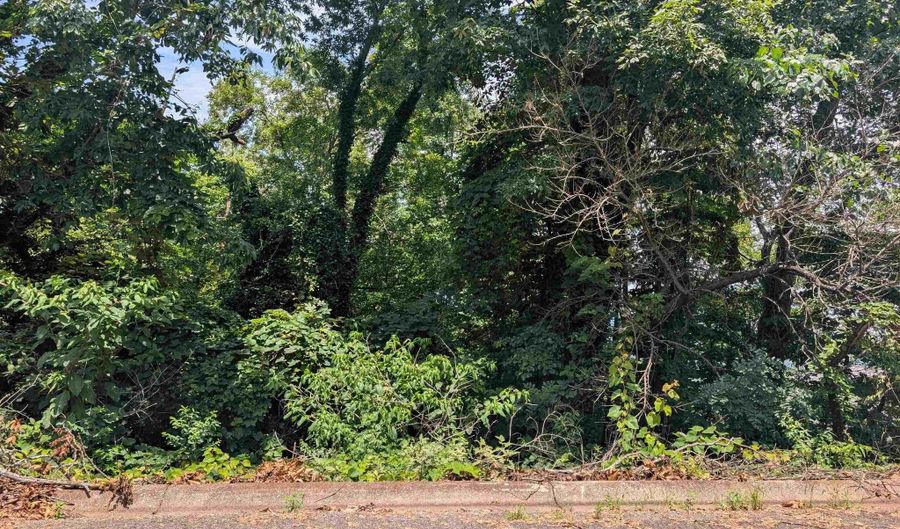 HILLYER HIGH ROAD lot 0, Anniston, AL 36207 - 0 Beds, 0 Bath