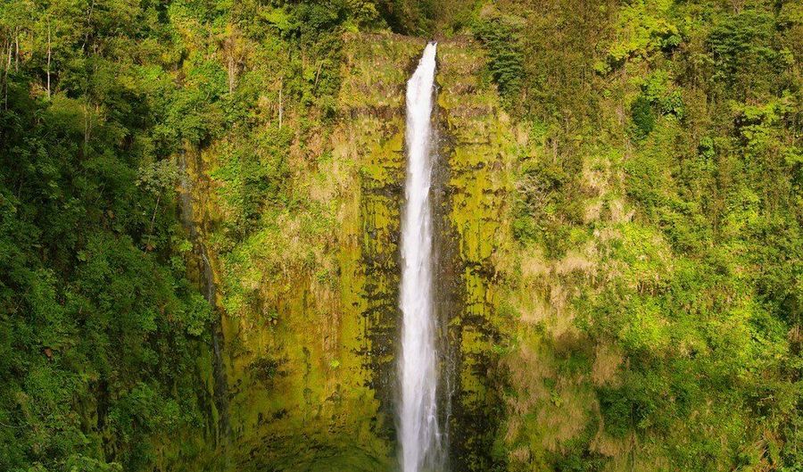 AKAKA FALLS ROAD, Honomu, HI 96728 - 0 Beds, 0 Bath