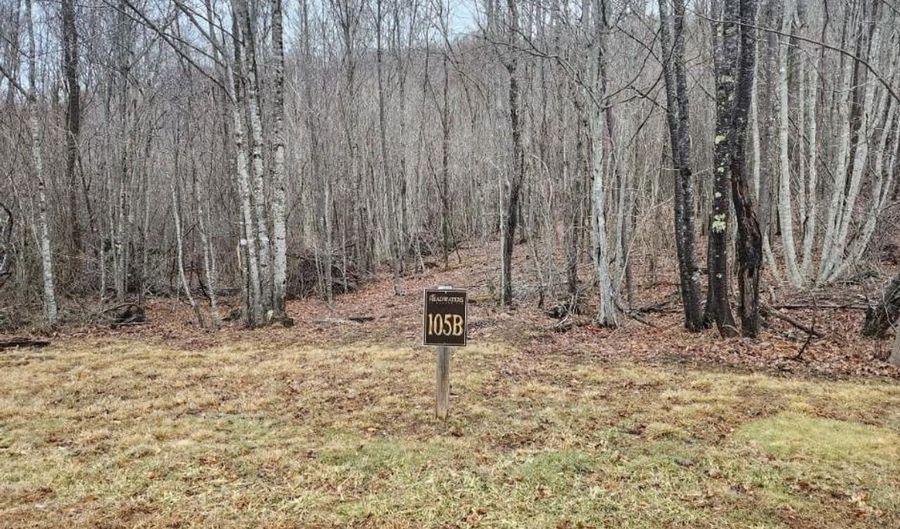 Beaver Dam Rd, Banner Elk, NC 28604 - 0 Beds, 0 Bath