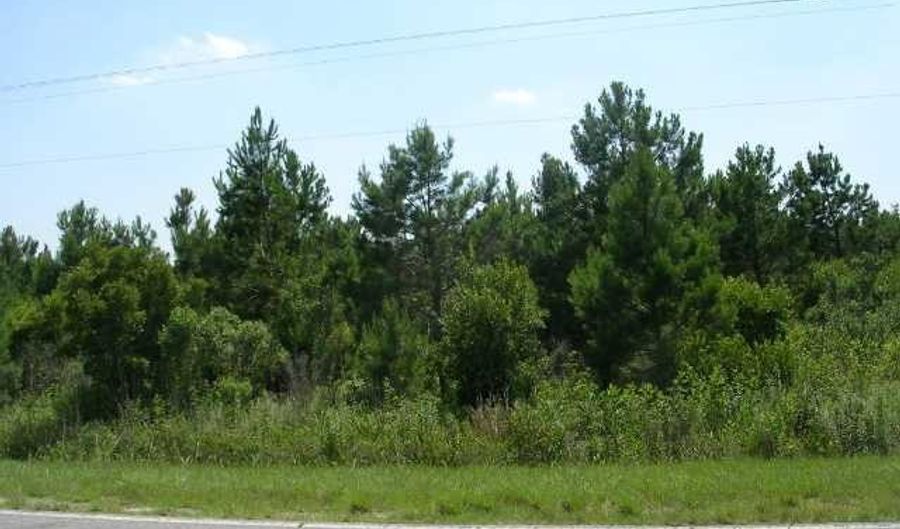 TRACT A Highway 9, Green Sea, SC 29545 - 0 Beds, 0 Bath