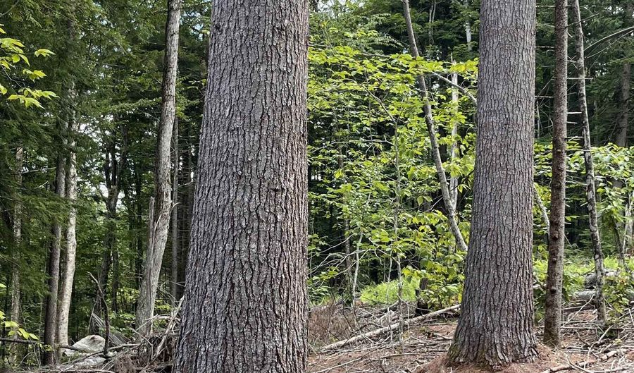 Underwood Road lot 7 & 10, Acworth, NH 03601 - 0 Beds, 0 Bath