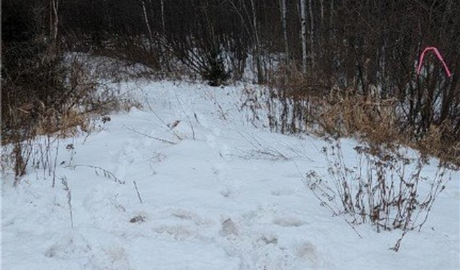 N County Highway W lot 0, Winter, WI 54896 - 0 Beds, 0 Bath