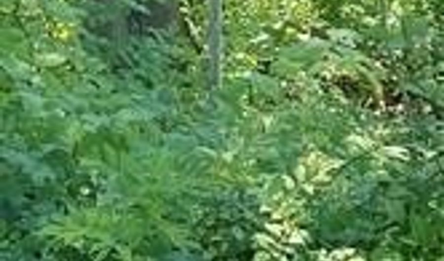 Narragansett Road, Cumberland, RI 02864 - 0 Beds, 0 Bath