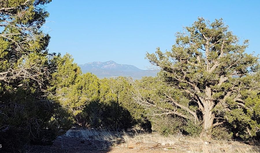 408 N2 Off Caprica Rd, Ash Fork, AZ 86320 - 0 Beds, 0 Bath