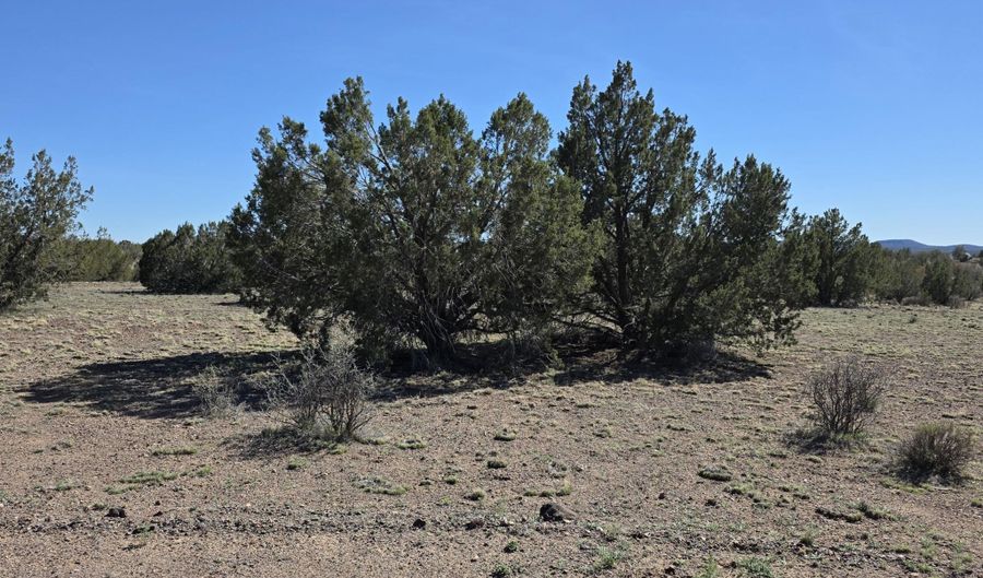 8 A Tanner Rd, Ash Fork, AZ 86320 - 0 Beds, 0 Bath