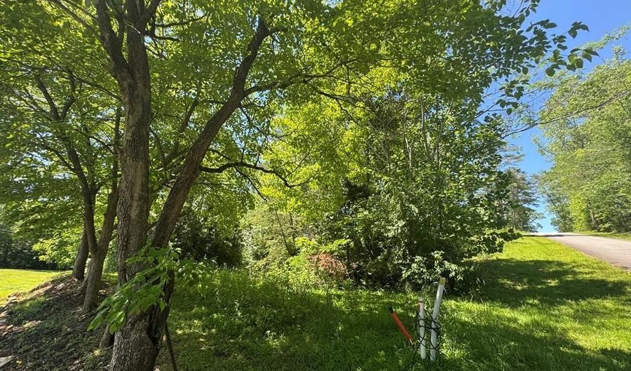 Lot 3a/B Tranquil Pointe Lane, Hiawassee, GA 30546 - 0 Beds, 0 Bath