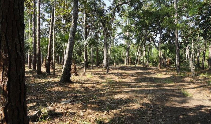 114 Melanie Ln, Apalachicola, FL 32320 - 0 Beds, 0 Bath