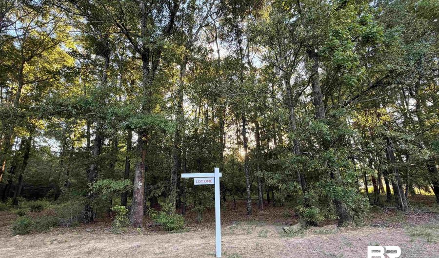 0 Pine Grove Rd Pine Grove Rd, Bay Minette, AL 36507 - 0 Beds, 0 Bath