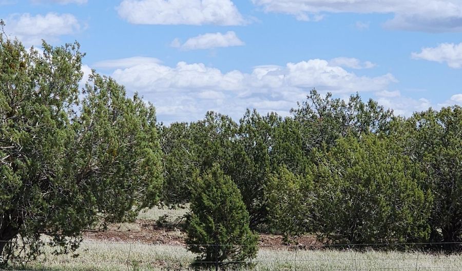 12 B Juniperwood Rnch, Ash Fork, AZ 86320 - 0 Beds, 0 Bath