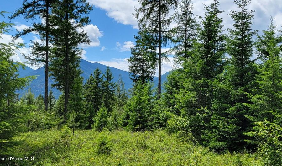 NNA Continental Lane-Tract 1, Bonners Ferry, ID 83805 - 0 Beds, 0 Bath