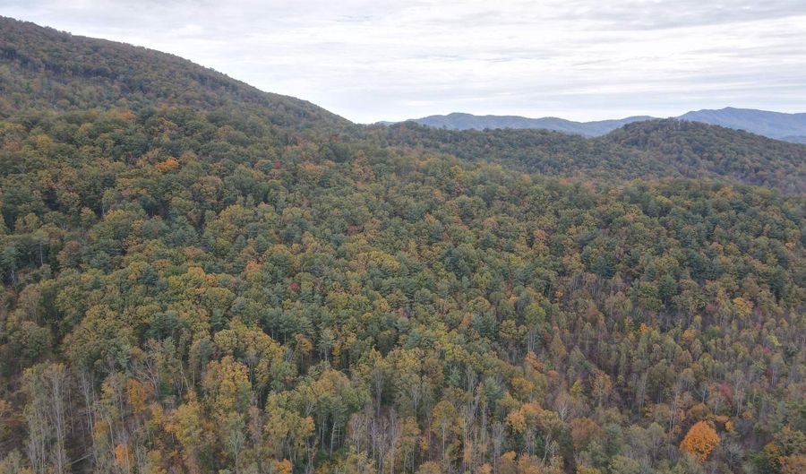 0 N Fork Rd 37.9 Acres, Amherst, VA 24521 - 0 Beds, 0 Bath