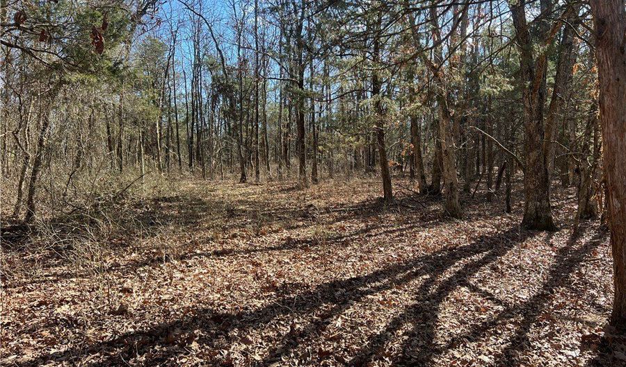 County Rd 972, Alpena, AR 72611 - 0 Beds, 0 Bath