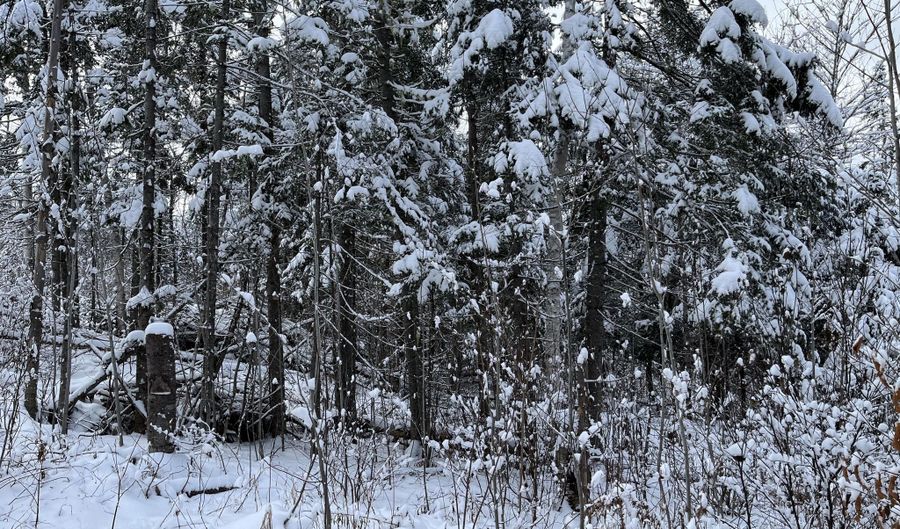 Frenchville Road, Ashland, ME 04732 - 0 Beds, 0 Bath