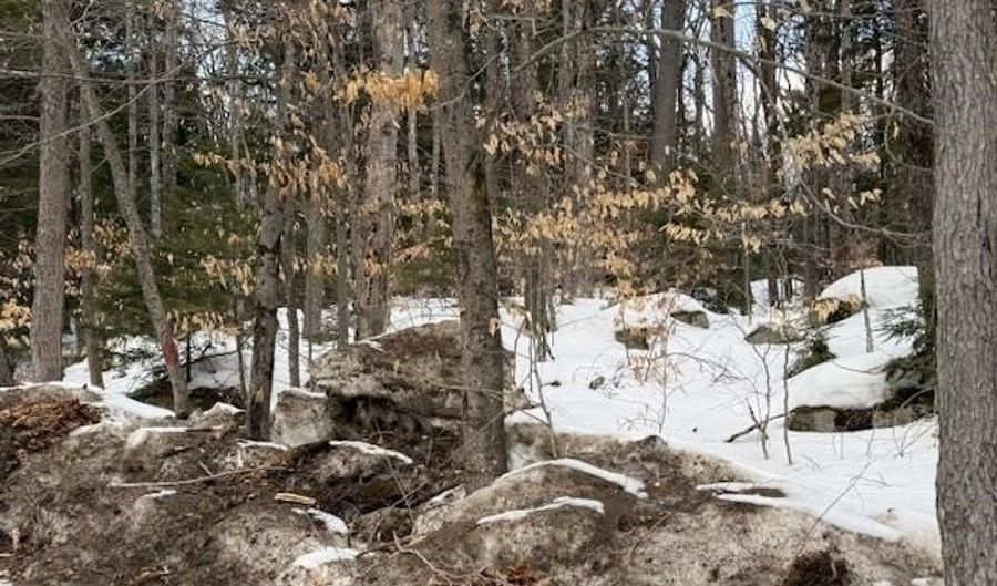 Map 6 Lot 103 Route 16, Albany, NH 03818 - 0 Beds, 0 Bath