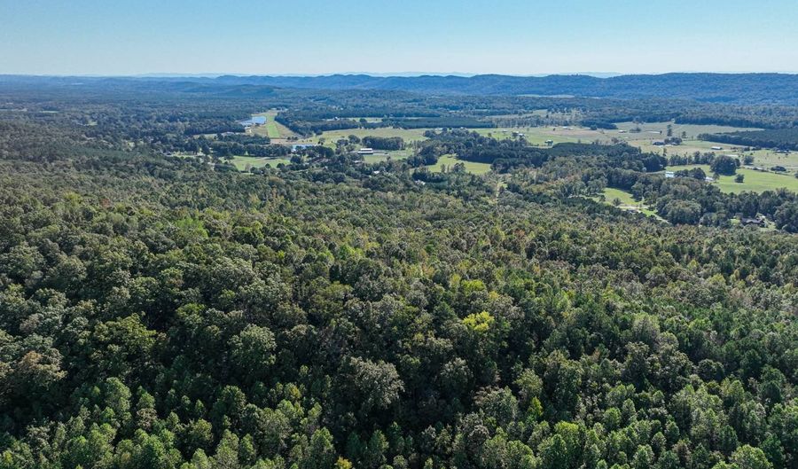 0 Slasham Rd, Ashville, AL 35953 - 0 Beds, 0 Bath