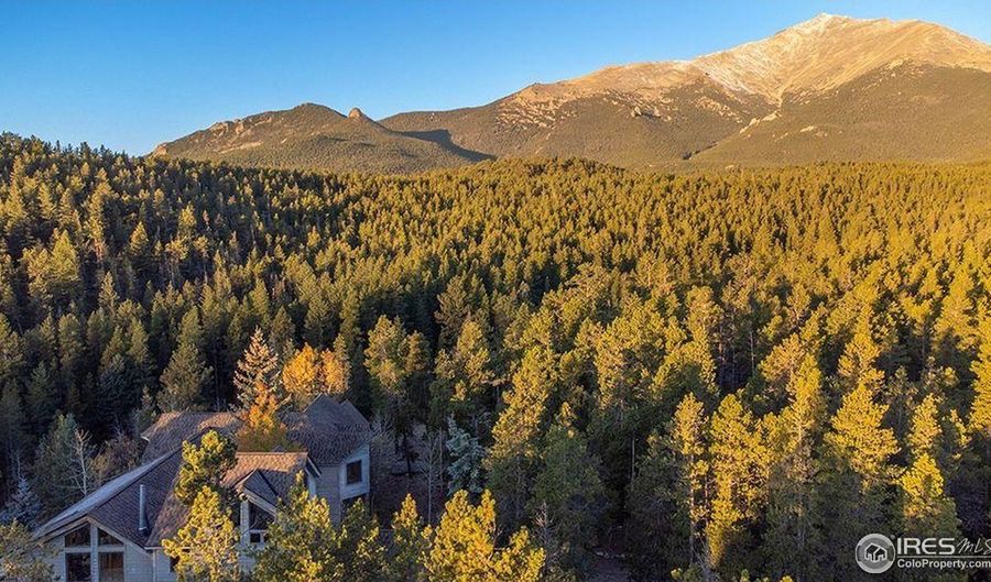 1997 Big Owl Rd, Allenspark, CO 80510 - 5 Beds, 4 Bath