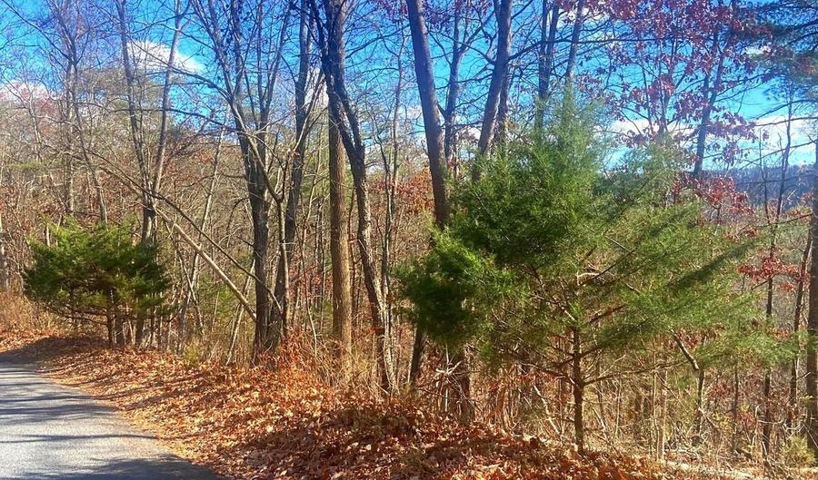 SPITZ Lane, Basye, VA 22810 - 0 Beds, 0 Bath