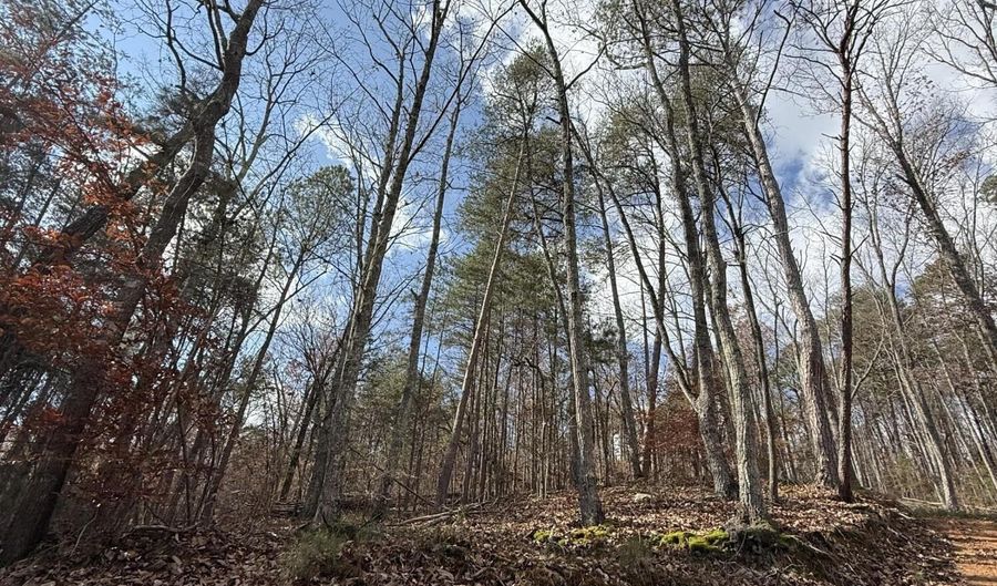 Parksville Road lot 1, Benton, TN 37307 - 0 Beds, 0 Bath