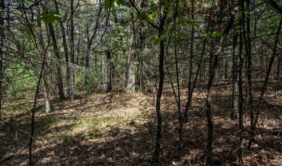 S Badger Lane lot 39, Arkdale, WI 54613 - 0 Beds, 0 Bath