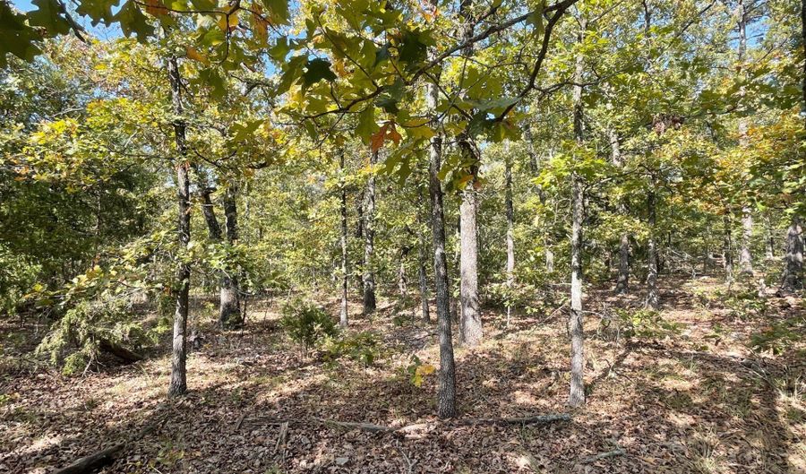 Lot 6-9 Highway 2, Antlers, OK 74523 - 0 Beds, 0 Bath