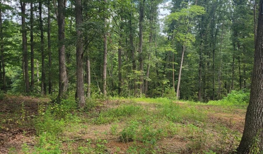 2 010 AC LOT 33, Augusta, WV 26704 - 0 Beds, 0 Bath