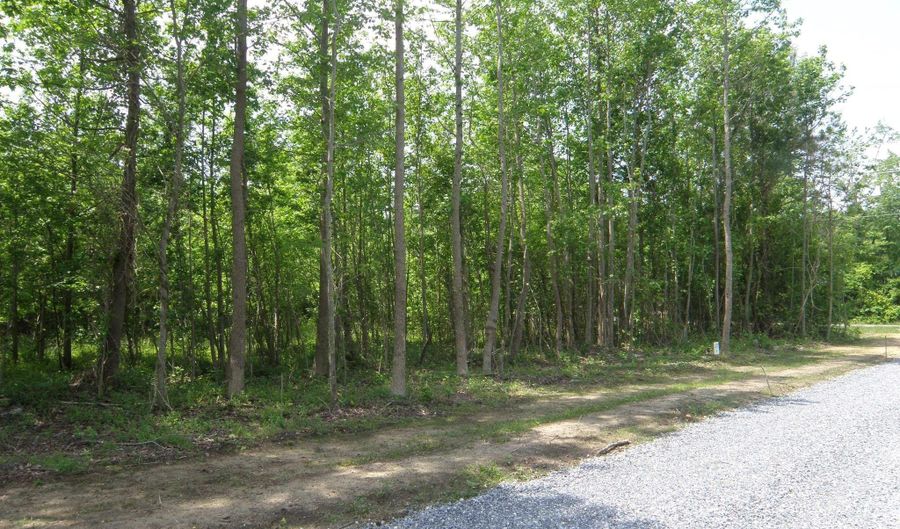 EASEMENT OFF OF SHORTLY RD lot B, Georgetown, DE 19947 - 0 Beds, 0 Bath