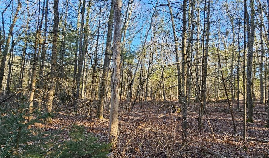 Lot 57.1 Yulan-Barryville Road, Barryville, NY 12719 - 0 Beds, 0 Bath