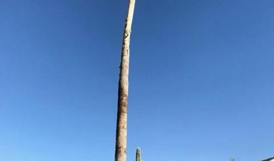 11679 W BENITO Dr, Arizona City, AZ 85123 - 3 Beds, 2 Bath