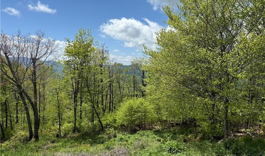 70 Sunset Strip, Beech Mountain, NC 28604 - 0 Beds, 0 Bath