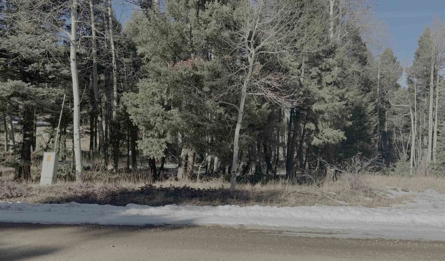Vail Loop lot 363, Angel Fire, NM 87710 - 0 Beds, 0 Bath