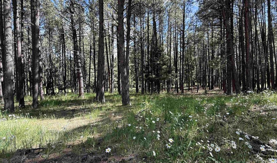 Lot 940 White Sands Circle, Angel Fire, NM 87710 - 0 Beds, 0 Bath