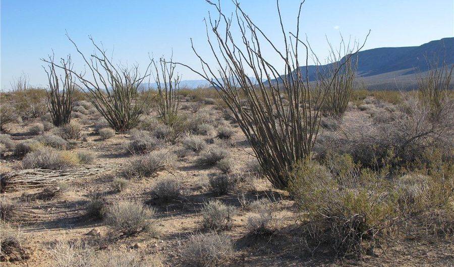 105 B W Sunset Rd, Yucca, AZ 86438 - 0 Beds, 0 Bath