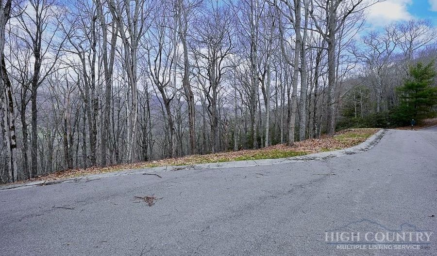 TBD Lot # 46 Woodlily Drive, Banner Elk, NC 28604 - 0 Beds, 0 Bath